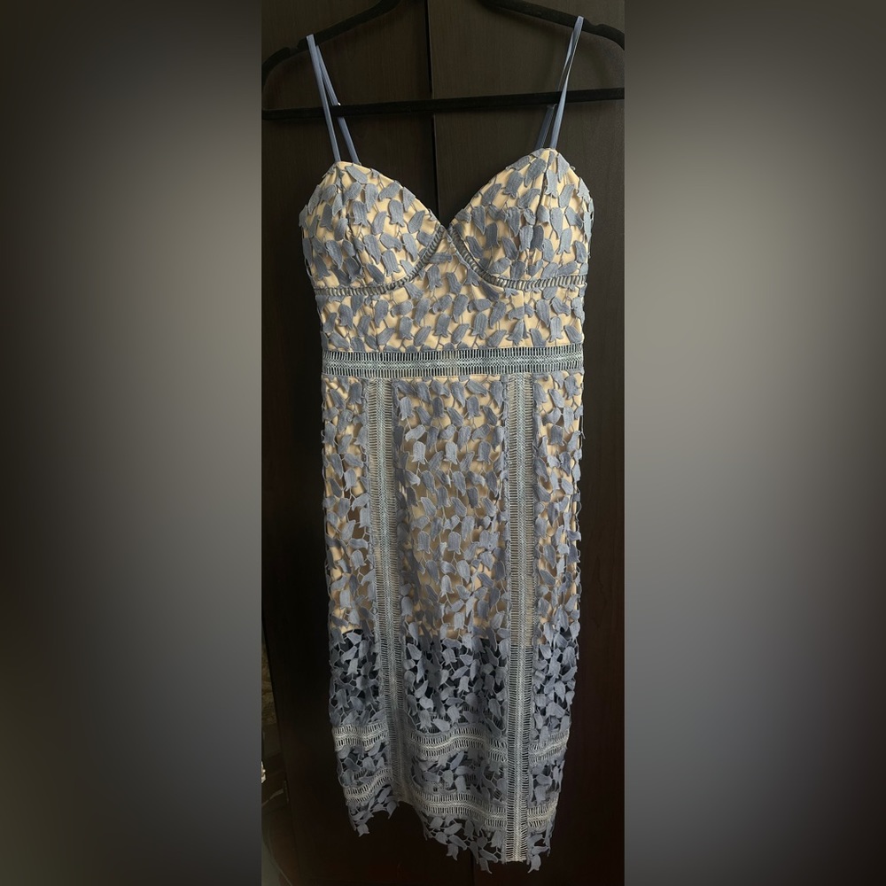 Blue and Nude Floral Appliqué Embroidered Midi Dress